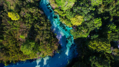 Weeki Wachee  – Spark