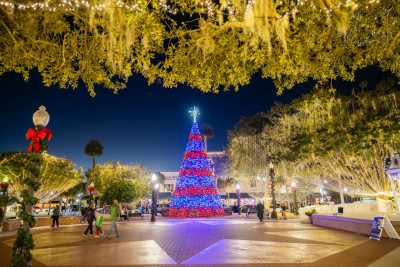 Hero Display Image   – provided by Visit Florida © Fred Lopez