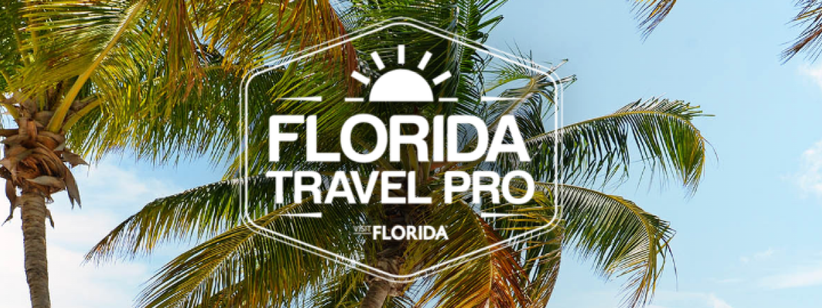 VISIT FLORIDA: Das neue E-Learning