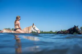 Horse Surfing bei Bradenton  | Horse Surfing bei Bradenton |   – provided by Ian Wilson-Navarro_BACVB