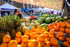 Hero Display Image   – provided by Punta Gorda/Englewood Beach Visitor & Convention Bureau