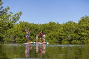 Hero Display Image   – provided by Punta Gorda/Englewood Beach Visitor & Convention Bureau