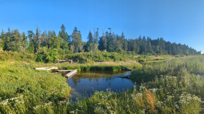 Hero Display Image  – provided by Visit Bellingham