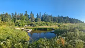 Hero Display Image   – provided by Visit Bellingham