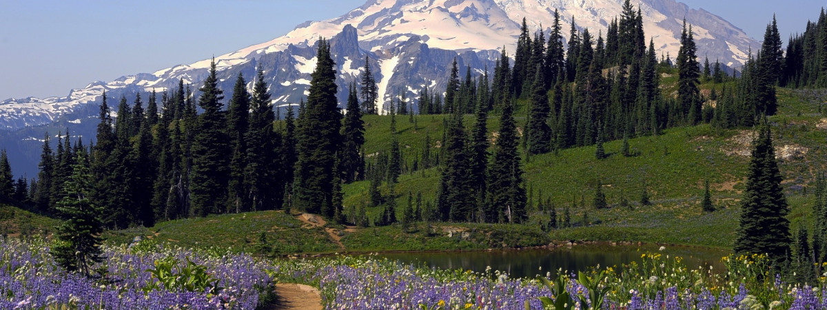 Mt. Rainier