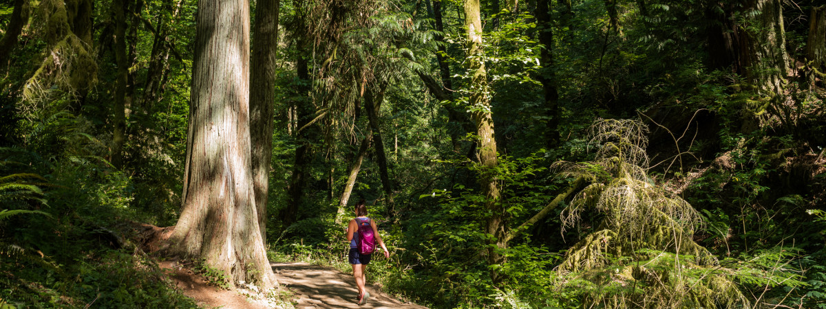 Wanderung im Forest Park