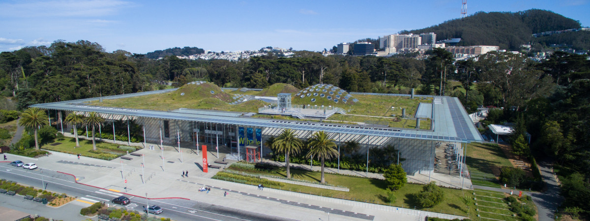Neue Dinosaurier-Ausstellung in San Francisco