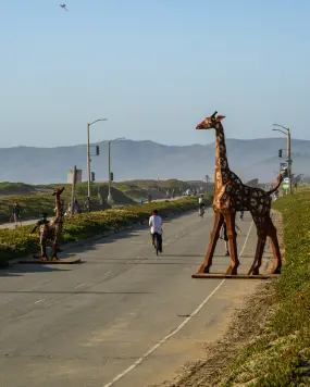 Hero Display Image   – provided by San Francisco Travel Association