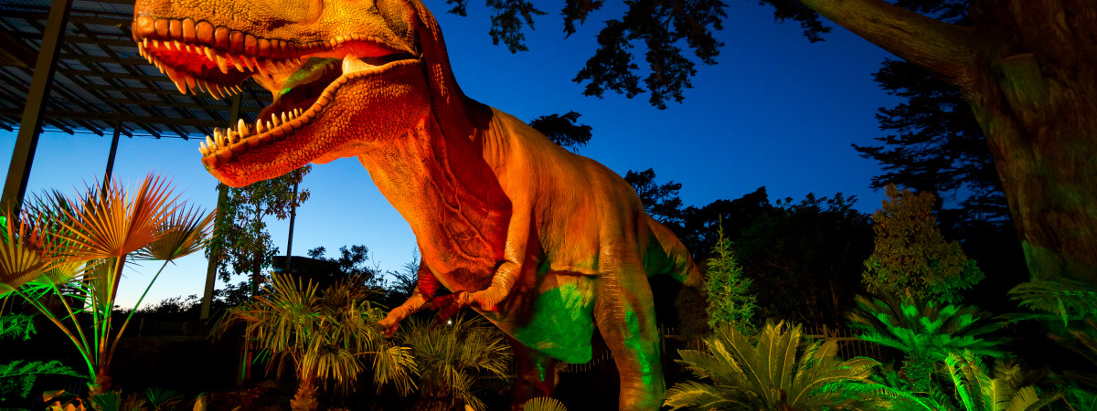 Neue Dinosaurier-Ausstellung in San Francisco