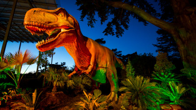 Hero Display Image  – provided by San Francisco Travel Association