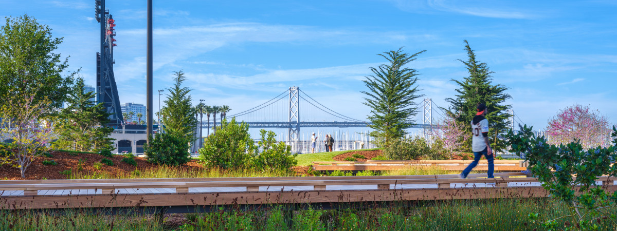 Neue Parklandschaften in San Francisco