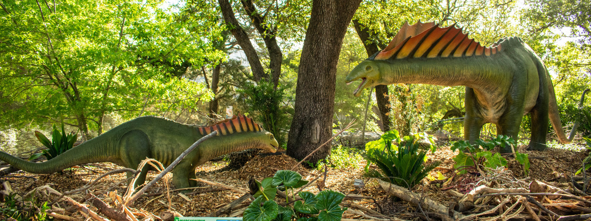 Neue Dinosaurier-Ausstellung in San Francisco