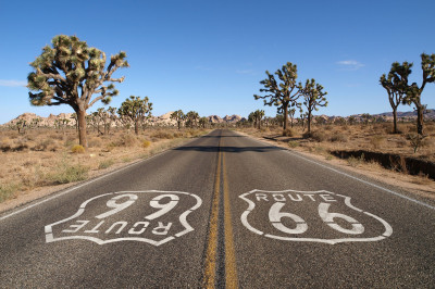 Hero Display Image   – trekandshoot / Shutterstock