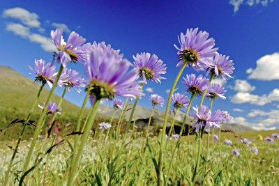 Hero Display Image   – provided by CANUSA TOURISTIK