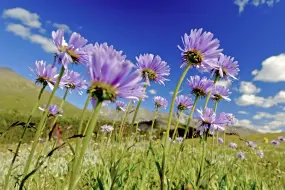 Hero Display Image   – provided by CANUSA TOURISTIK