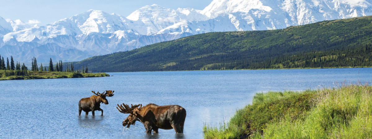 Darum lieben wir Alaska-Reisen