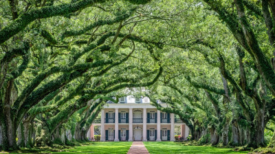 Oak Alley Plantation  – provided by Louisiana Office of Tourism