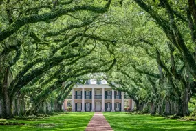Oak Alley Plantation  | Oak Alley Plantation |   – provided by Louisiana Office of Tourism