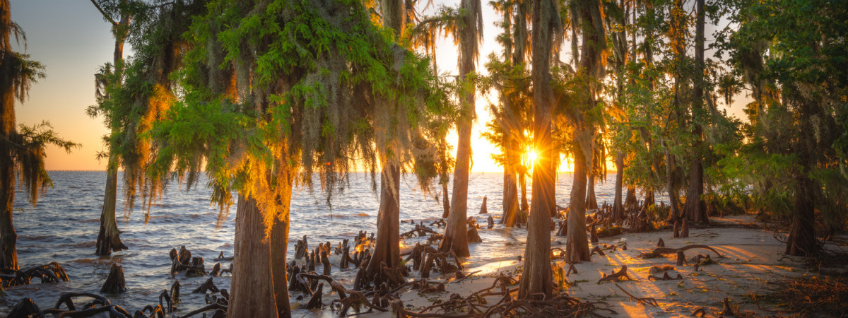 Louisiana - der "Pelican State"