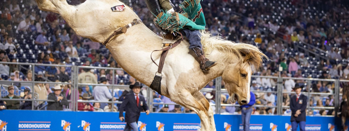 Rodeo Houston 2025