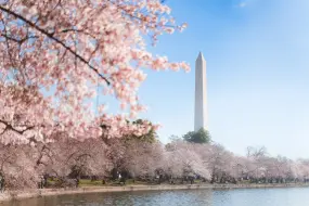 Hero Display Image   – provided by washington.org