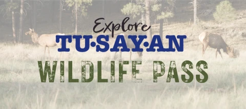 Hero Display Image   – provided by Town of Tusayan