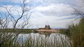 Hero Display Image   – provided by Travel Nevada