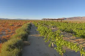 Hero Display Image   – provided by Travel Nevada