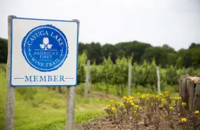 Hero Display Image   – provided by Visit Ithaca