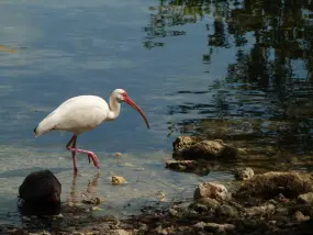 Hero Display Image   – provided by The Florida Keys & Key West