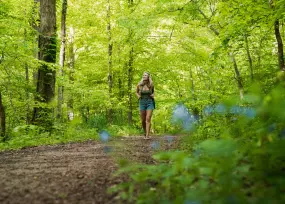 Hero Display Image   – Sean Fisher