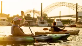 Hero Display Image   – Logan Young