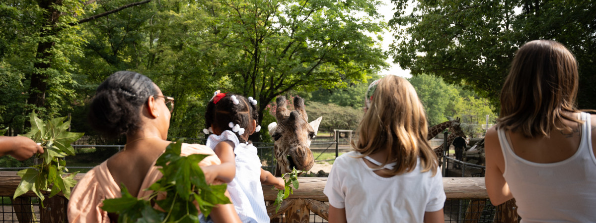 Auf Platz 2 der besten Zoos der USA: der Memphis Zoo