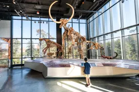 Das Burke Museum in Seattle, Washington  | Das Burke Museum in Seattle, Washington |   – (c) Visit Seattle