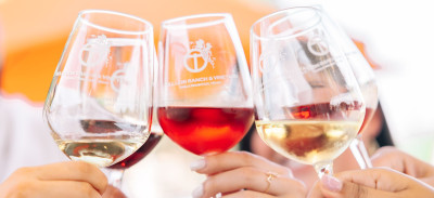 Hero Display Image   – provided by Grapevine CVB