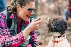 Hero Display Image   – provided by Travel Oregon