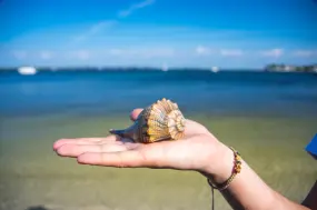 Hero Display Image   – provided by Bradenton Gulf Islands