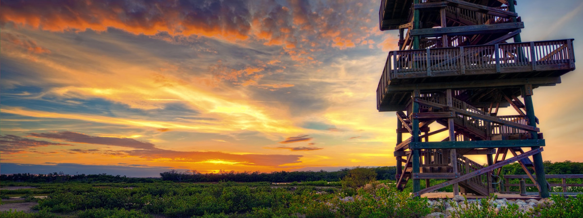 Robinson Preserve Tower