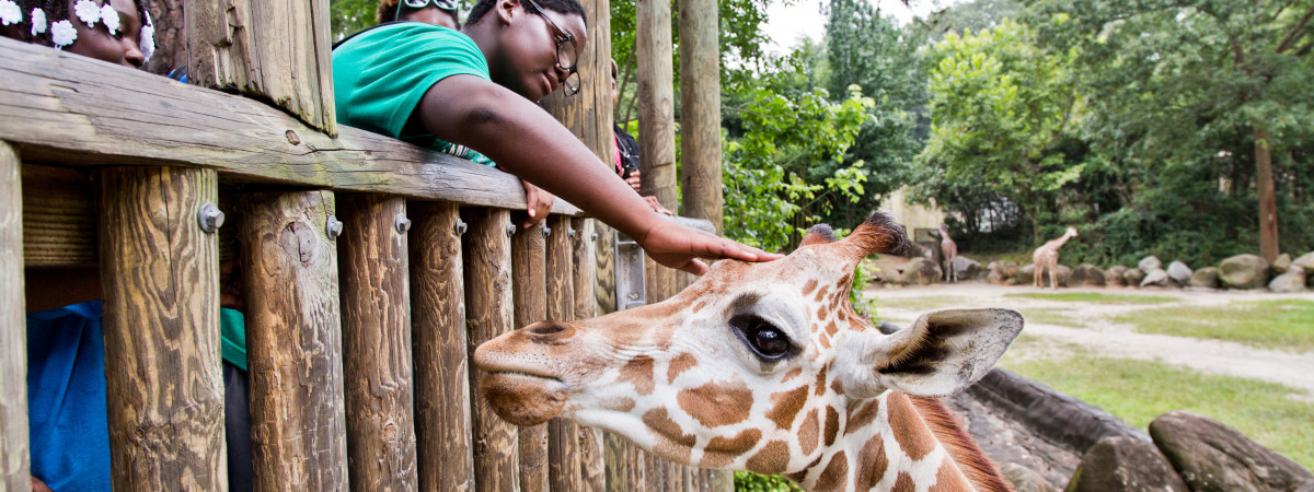 Columbia, Riverbanks Zoo