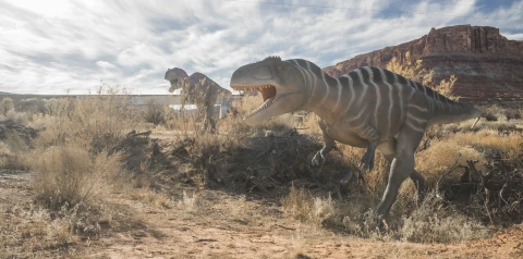 Hero Display Image   – provided by Utah Office of Tourism