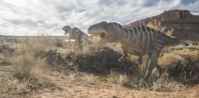 Hero Display Image   – provided by Utah Office of Tourism