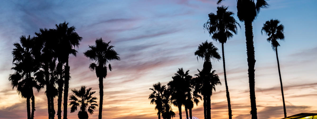 NEU nach Los Angeles