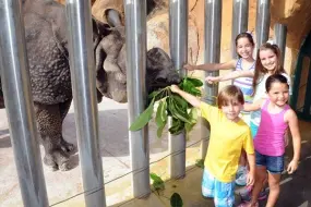 Hero Display Image   – provided by Greater Miami & Miami Beach