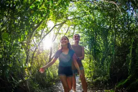 Hero Display Image   – provided by Greater Miami & Miami Beach