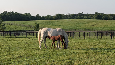 Hero Display Image  – provided by Kentucky Tourism