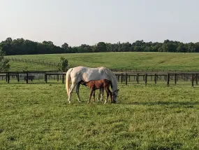 Hero Display Image   – provided by Kentucky Tourism