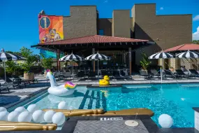 Hero Display Image   – provided by Visit St. Pete/Clearwater