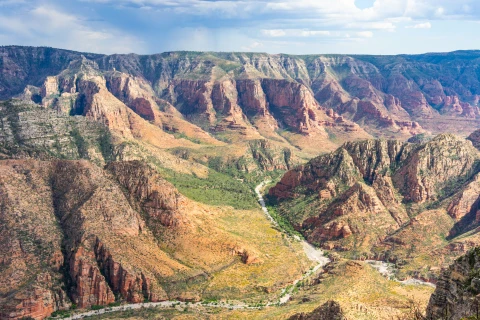 Hero Display Image   – provided by Experience Williams