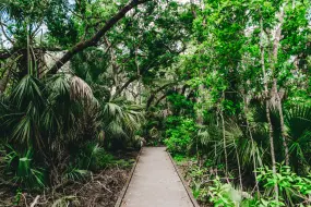 Hero Display Image   – provided by Florida's Space Coast