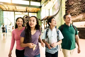 Hero Display Image   – provided by Visit San Antonio